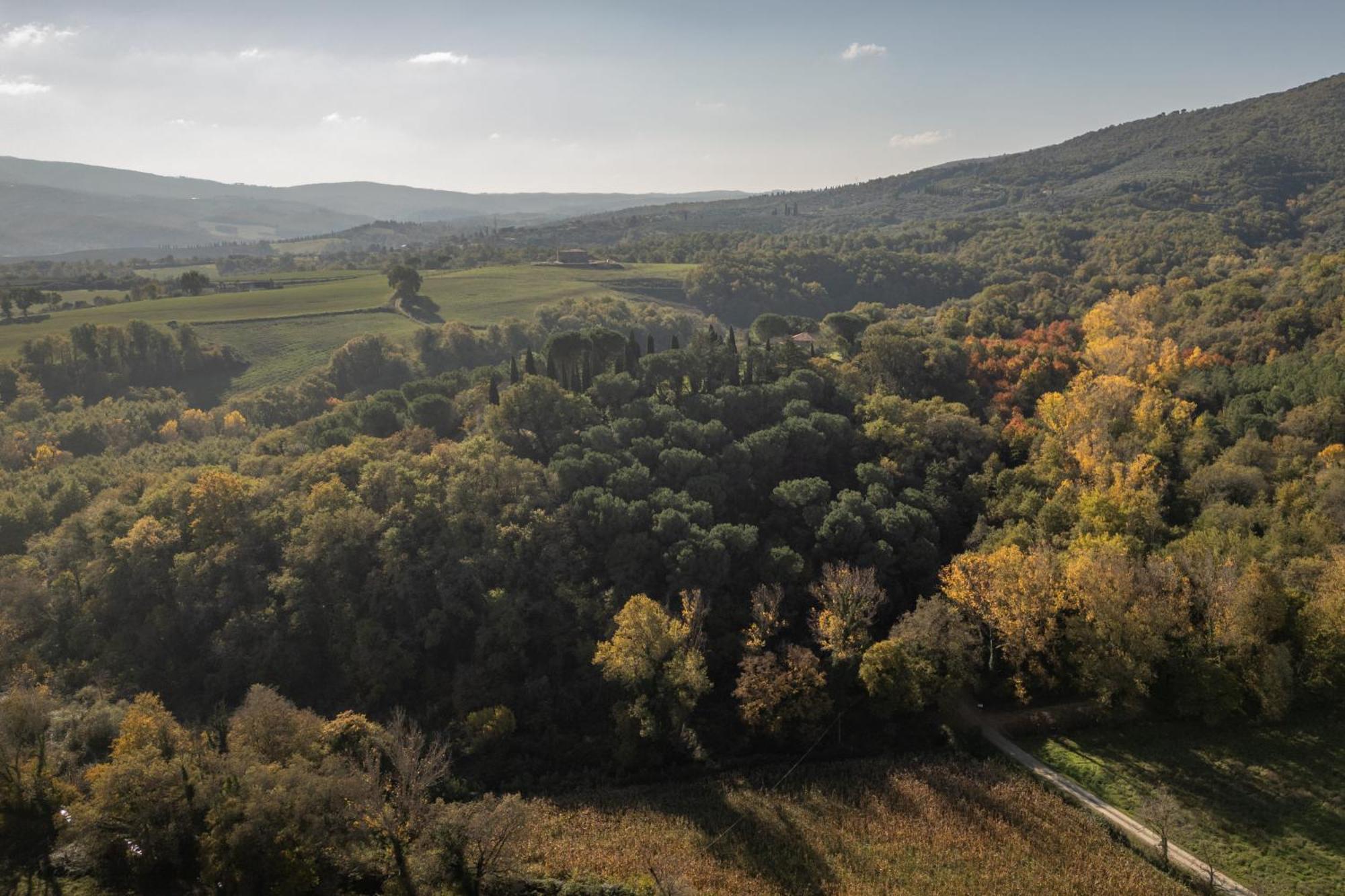 Tenuta Di Caiolo Panicale Dış mekan fotoğraf